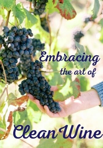 Embracing Clean Wine
